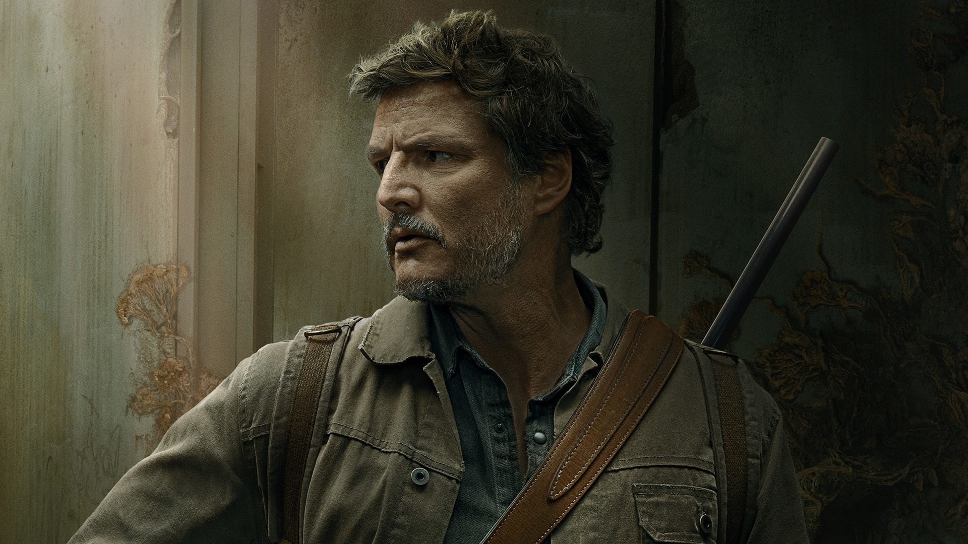 The Last of Us-serieskaperen mener at fire sesonger høres passende ut -  Gamer.no