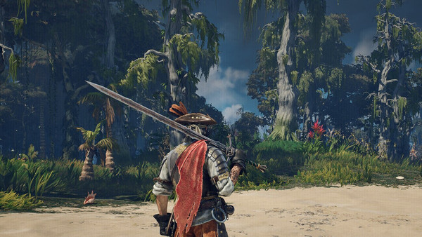 Neste store Windrose-oppdatering kommer tidligst mot slutten av året