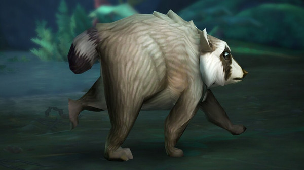 Vaskebjørnkjendis blir kjæledyr i World of Warcraft