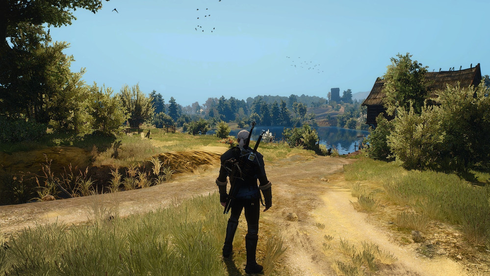 The Witcher III uten modifkasjoner.